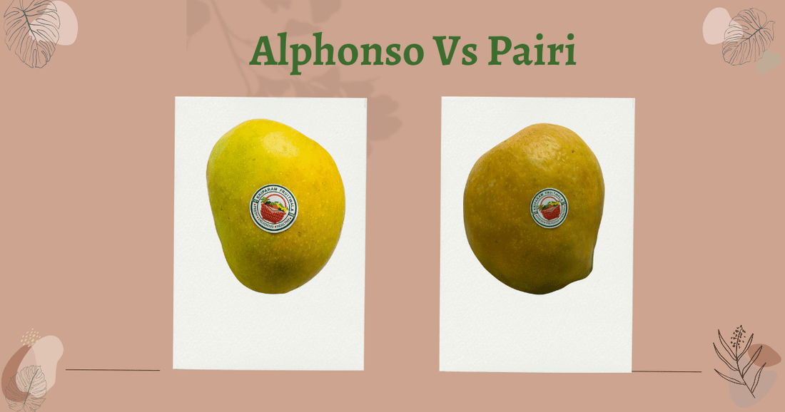 Alphonso vs Payari Mango: Which One is Best for You?"