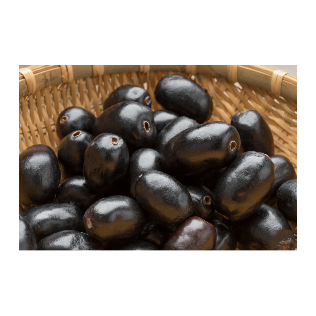 Fresh Black Jamun (Jambhul)