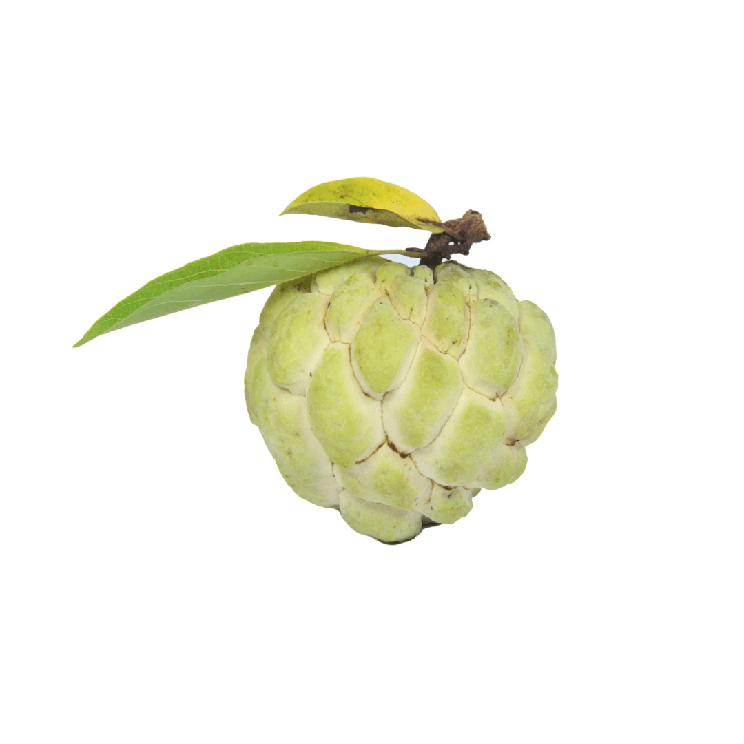 Custard Apple (Sitaphal)