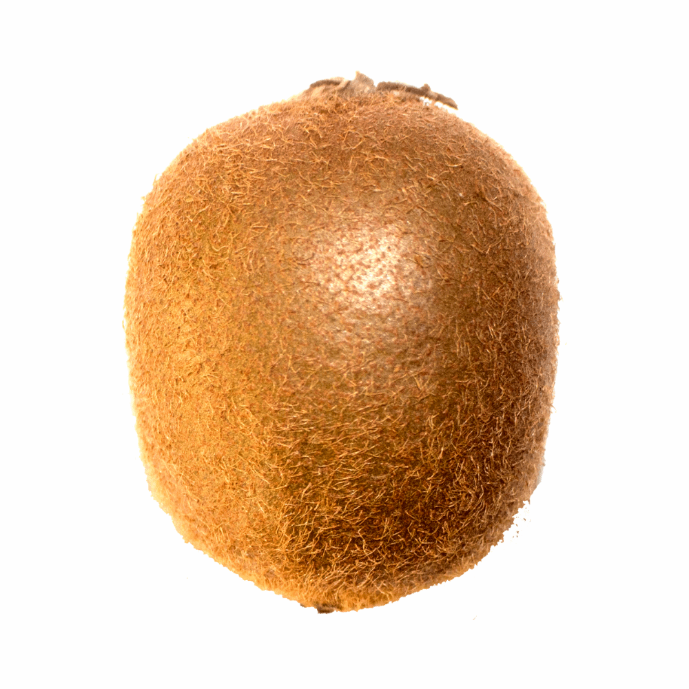 Zespri Green Kiwi (Imported)