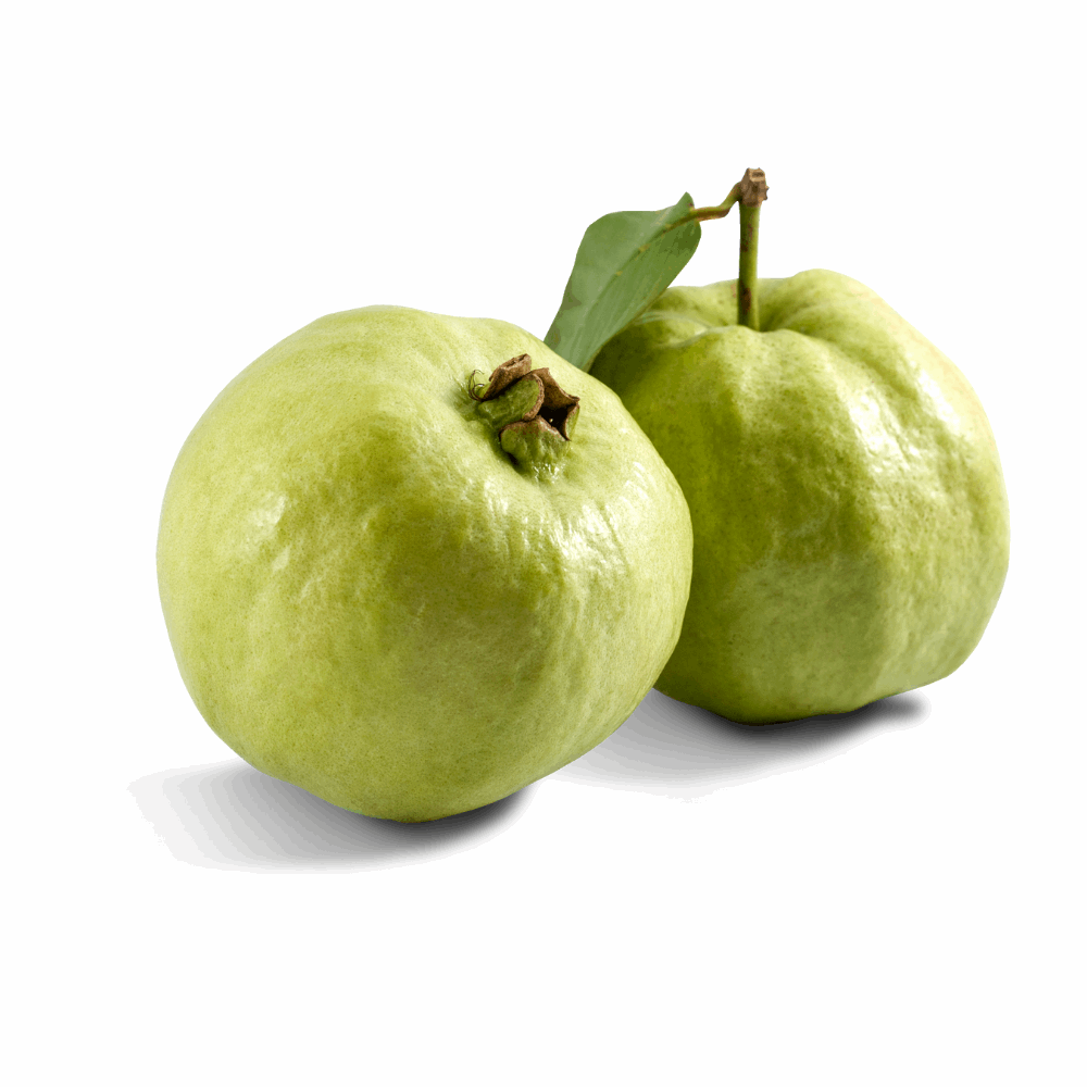 Thai Guava (Peru)- White Flesh