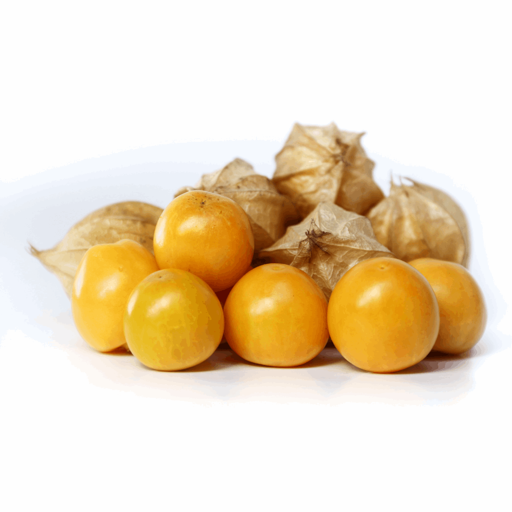 Rashbhari (Cape Gooseberry)