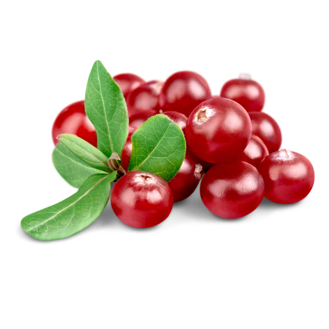 Fresh Cranberries (Imported)