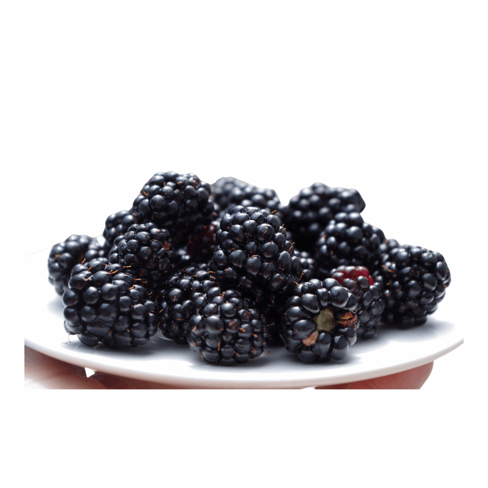 Fresh Blackberry (Imported)