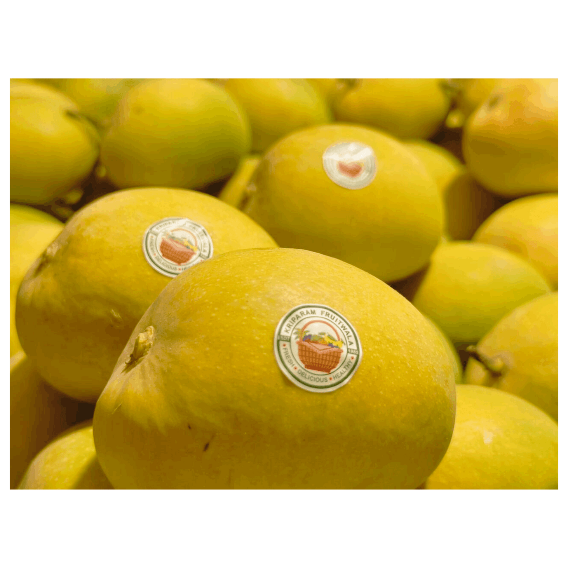 Devgarh Alphonso (Hapus) Mango - Jumbo size