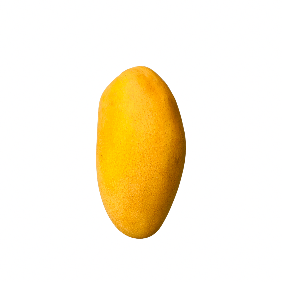 Fresh Dasheri Mango (Malihabadi)