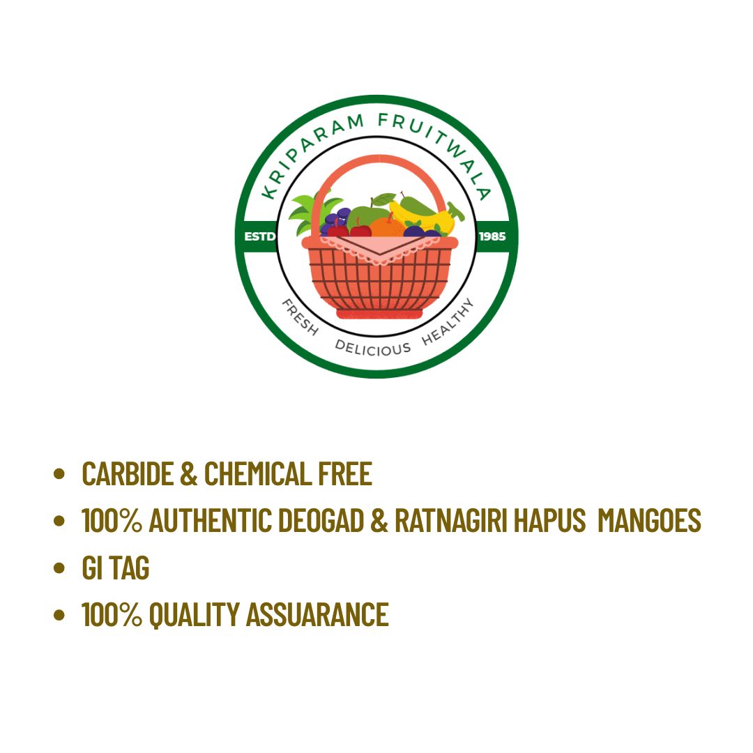 Export Quality Alphonso (Hapus) Mango - Jumbo size