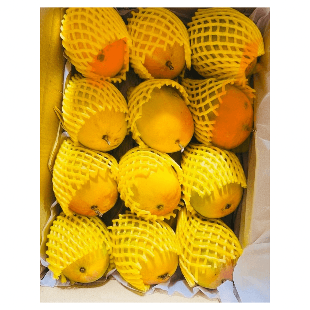 organic alphonso mangoes