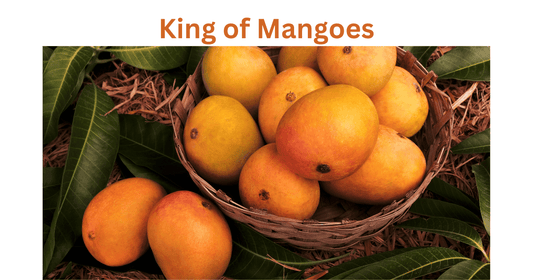 10 Reasons Why Alphonso Mango (Hapus) is the King of Mangoes.