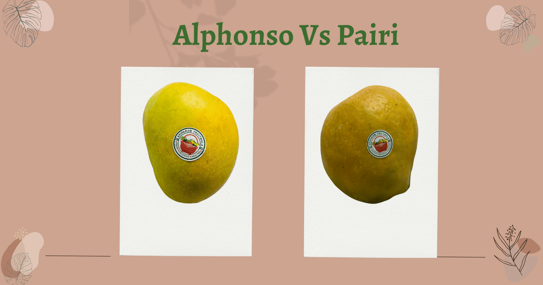 Alphonso vs Payari Mango: Which One is Best for You?"