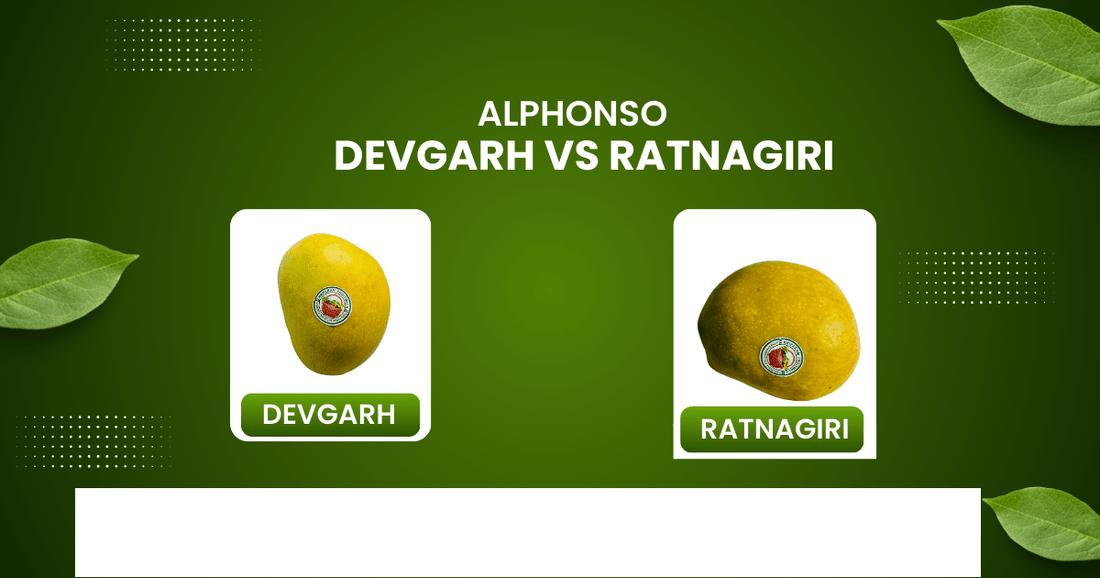 Devgad vs Ratnagiri Alphonso Mango: What’s the Difference?