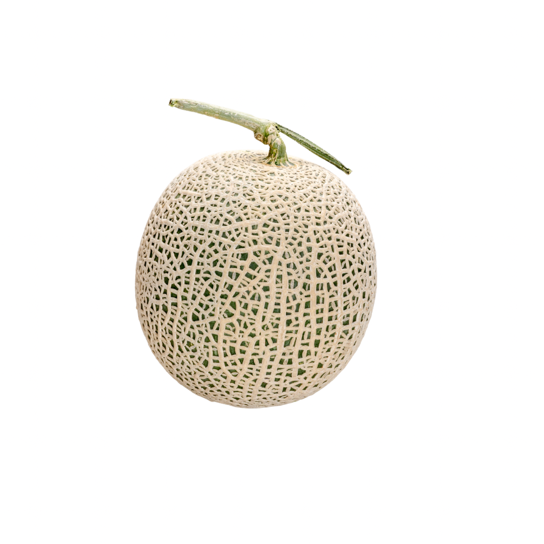 buy japan melon online kriparam fruitwala