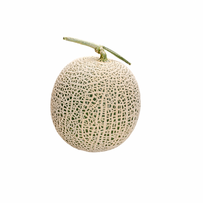 buy japan melon online kriparam fruitwala