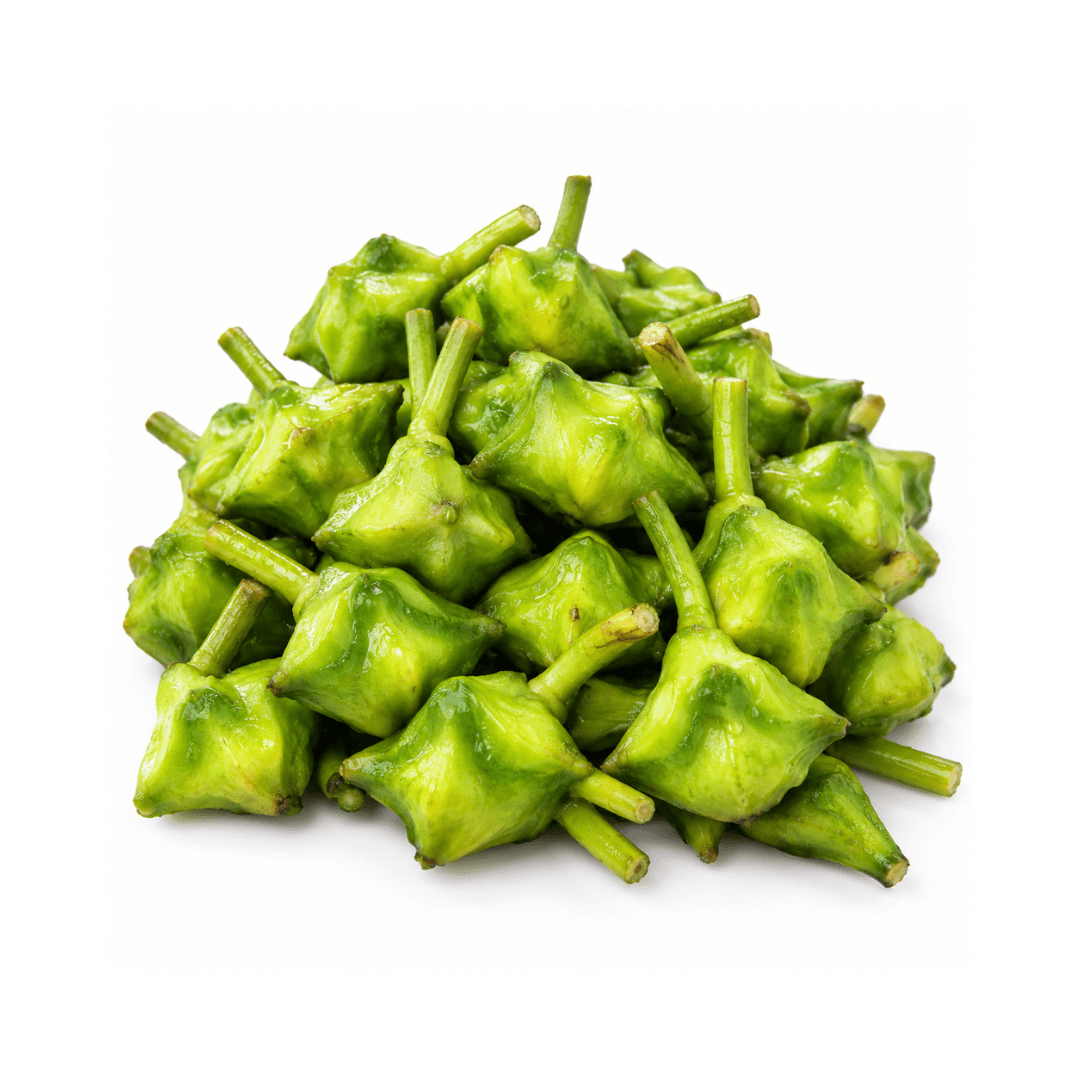 Green Paniphal (Water Chestnut)