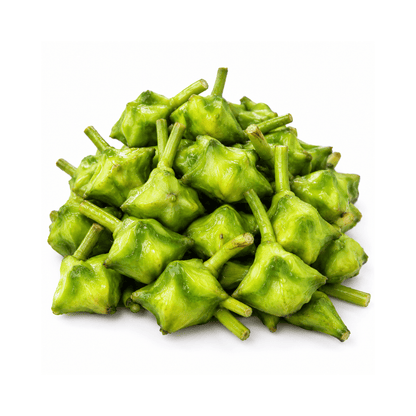 Green Paniphal (Water Chestnut)