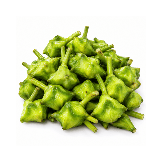 Green Paniphal (Water Chestnut)