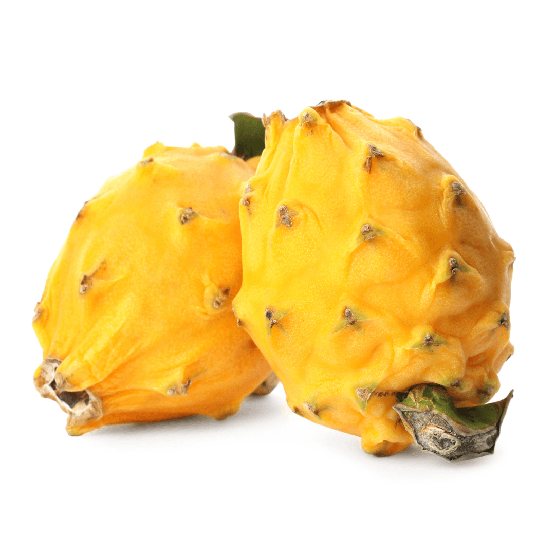 Two yellow dragon (Yellow Pitaya) fruits with green stems, photographed on a clean white background.
