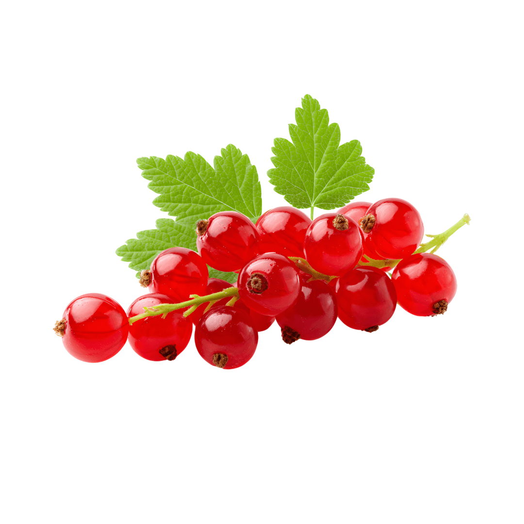 Red Currants (Imported)