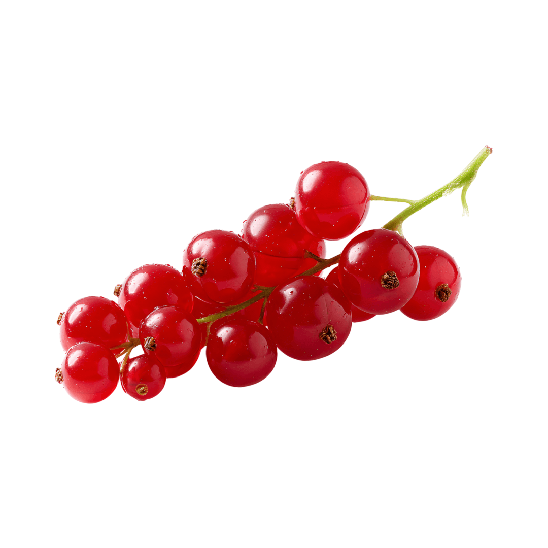 Red Currants (Imported)