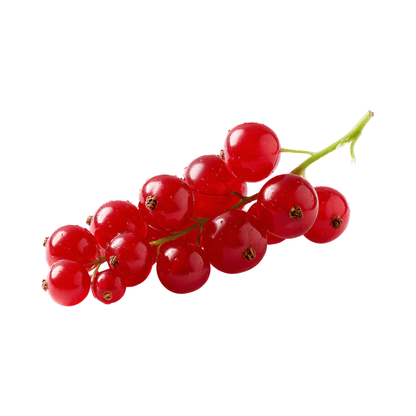 Red Currants (Imported)