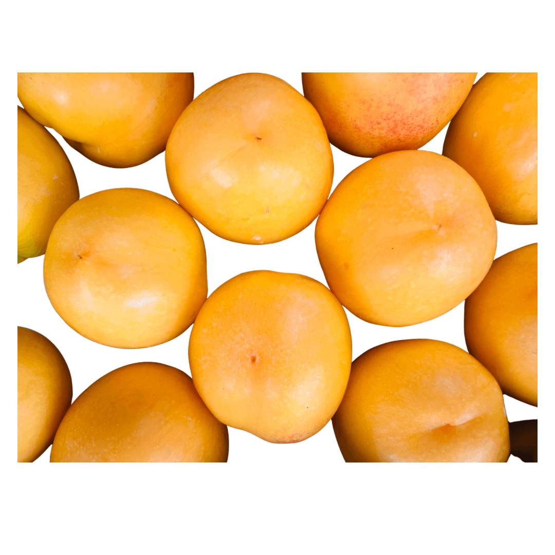 Apricot - Grade1 (Imported)