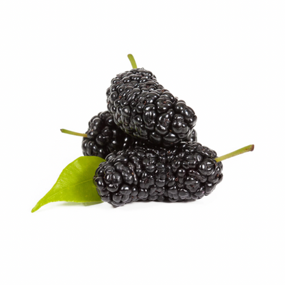 Buy mulberries online from kriparam fruitwala mumbai
