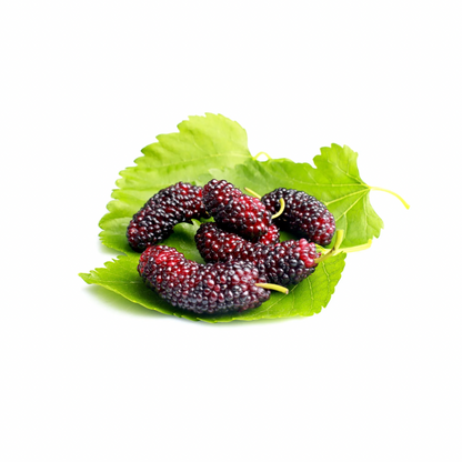 buy mulberry online in mumbai