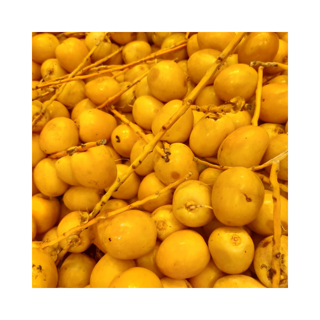 Fresh Yellow Dates - peela Khajoor