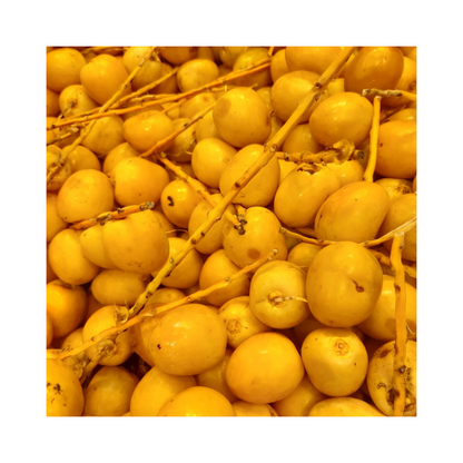 Fresh Yellow Dates - peela Khajoor