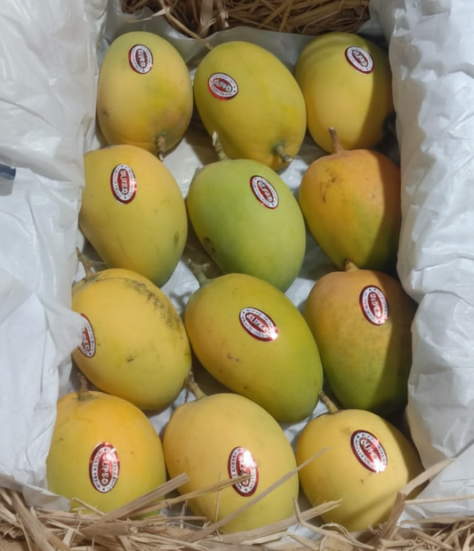Export Quality Alphonso Mango