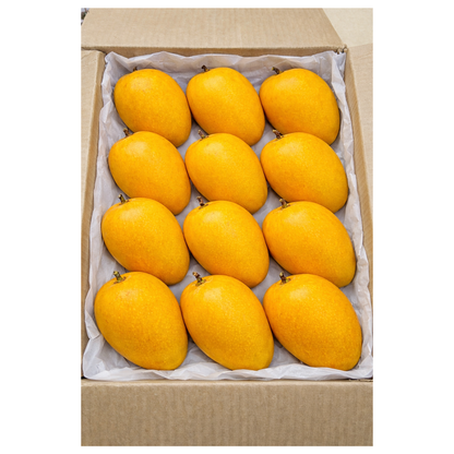 Box of alphonso mangoes with a white interior from kriparam fruitwala