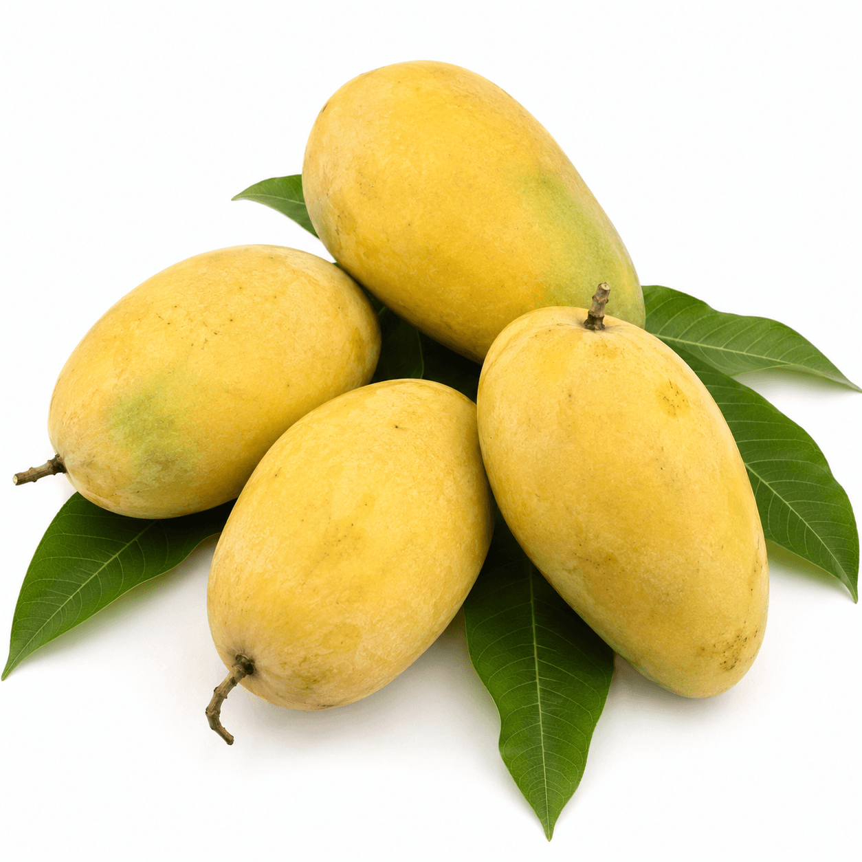 Chausa Mangoes