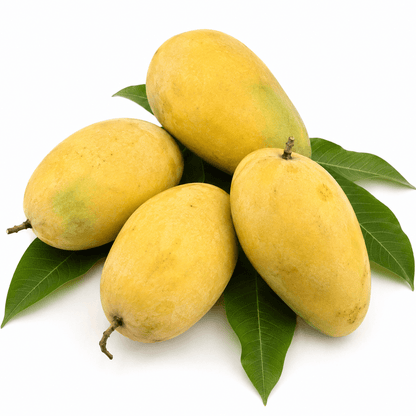 Chausa Mangoes
