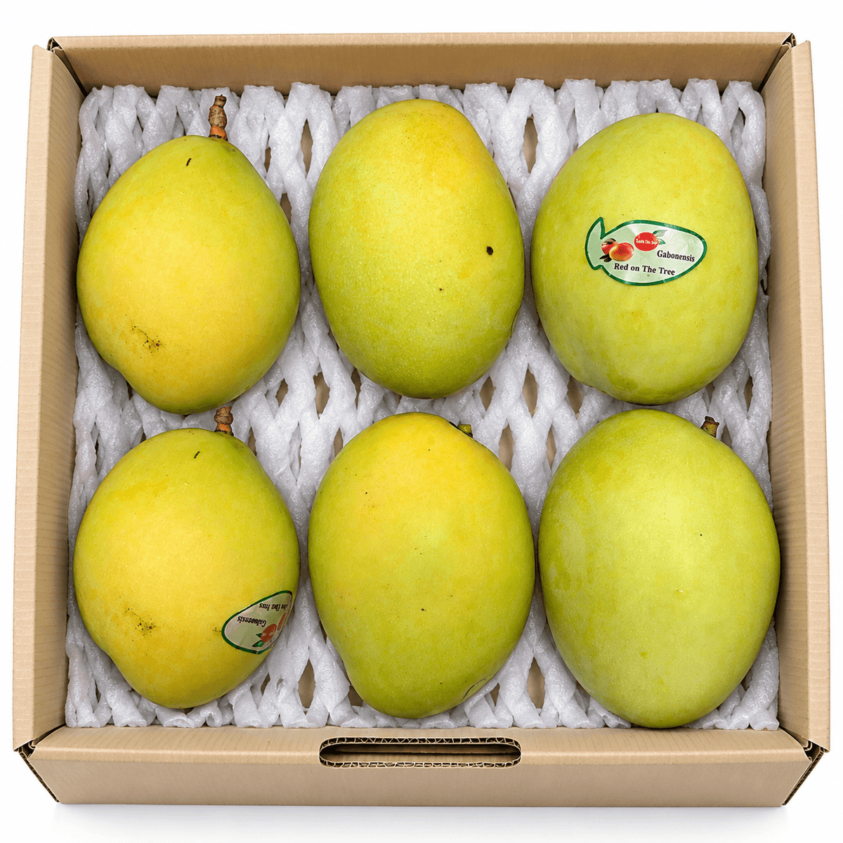 Ewais Mangoes from Egypt