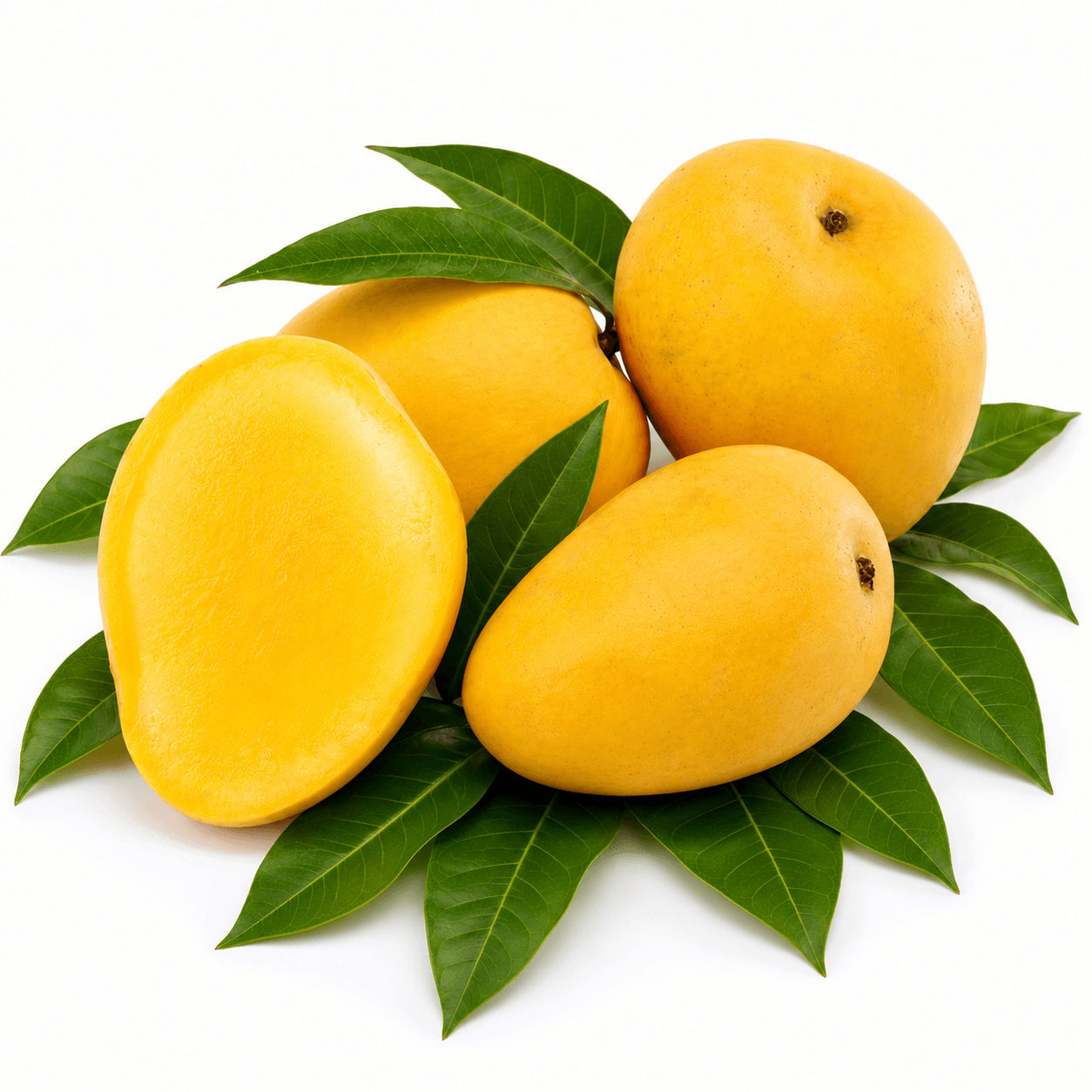 Neelam Mangoes